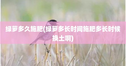 绿萝多久施肥(绿萝多长时间施肥多长时候换土啊)