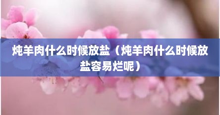 炖羊肉什么时候放盐（炖羊肉什么时候放盐容易烂呢）