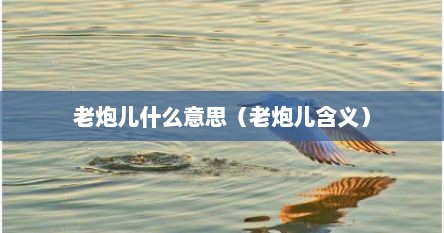 老炮儿什么意思（老炮儿含义）