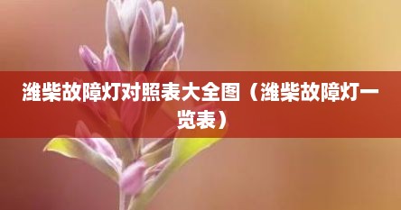 潍柴故障灯对照表大全图（潍柴故障灯一览表）