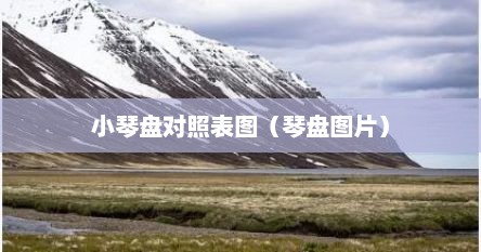 小琴房装修效果图大全（小琴的琴）