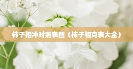 柿子相冲对照表图（柿子相克表大全）