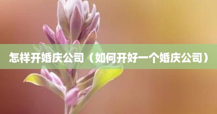 怎样开婚庆公司（如何开好一个婚庆公司）