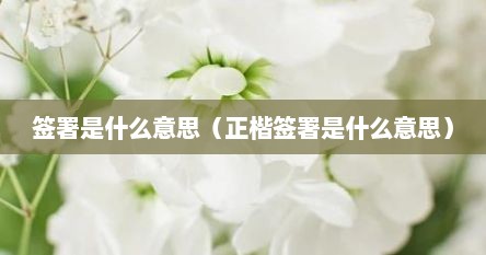 签署是什么意思（正楷签署是什么意思）