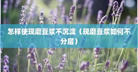 怎样使现磨豆浆不沉淀（现磨豆浆如何不分层）