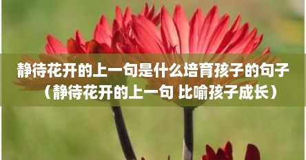 静待花开的上一句是什么培育孩子的句子（静待花开的上一句 比喻孩子成长）