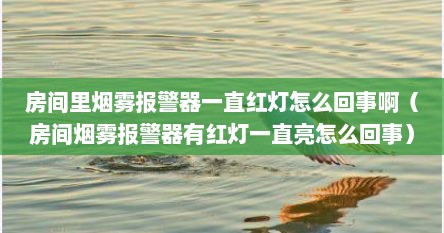 房间里烟雾报警器一直红灯怎么回事啊（房间烟雾报警器有红灯一直亮怎么回事）