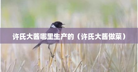 许氏大酱哪里生产的（许氏大酱做菜）