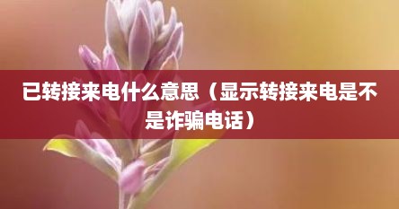 已转接来电什么意思（显示转接来电是不是诈骗电话）