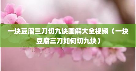 一块豆腐三刀切九块图解大全视频（一块豆腐三刀如何切九块）