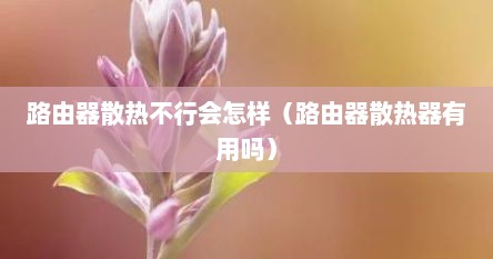 路由器散热不行会怎样（路由器散热器有用吗）
