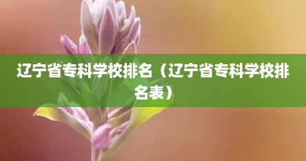 辽宁省专科学校排名（辽宁省专科学校排名表）