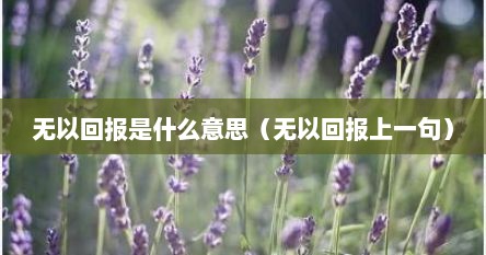 无以回报是什么意思（无以回报上一句）
