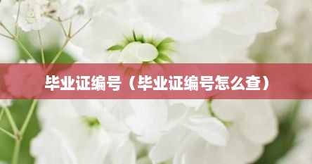 毕业证编号（毕业证编号怎么查）