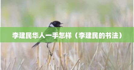 李建民华人一手怎样（李建民的书法）