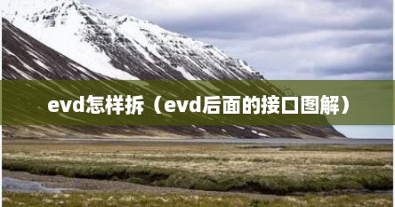 evd怎样拆（evd后面的接口图解）