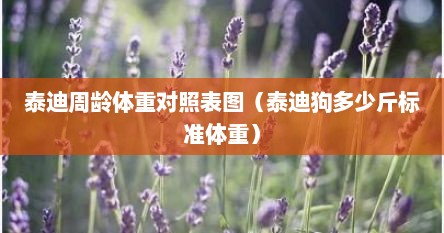 泰迪周龄体重对照表图（泰迪狗多少斤标准体重）
