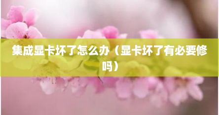 集成显卡坏了怎么办（显卡坏了有必要修吗）
