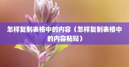 怎样复制表格中的内容（怎样复制表格中的内容粘贴）