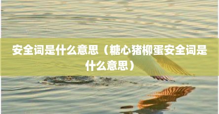安全词是什么意思（糖心猪柳蛋安全词是什么意思）