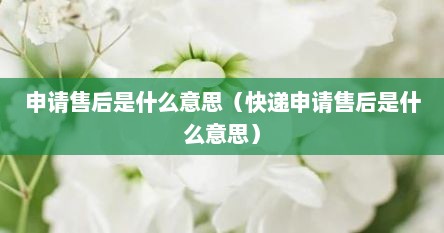 申请售后是什么意思（快递申请售后是什么意思）