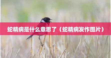 蛇精病是什么意思了（蛇精病发作图片）