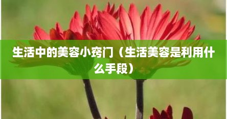 生活中的美容小窍门（生活美容是利用什么手段）