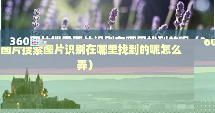 360图片搜索图片识别在哪里找到的呢(360图片搜索图片识别在哪里找到的呢怎么弄)