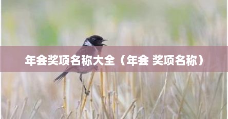 年会的奖项名称（年会奖品名单）