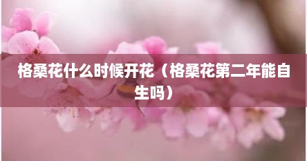 格桑花什么时候开花(格桑花第二年能自生吗)