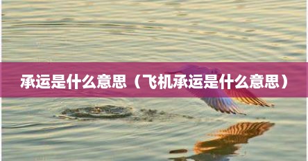 承运是什么意思（飞机承运是什么意思）