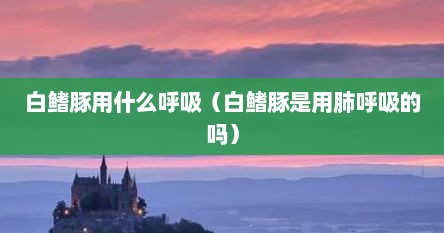 白鳍豚用什么呼吸（白鳍豚是用肺呼吸的吗）