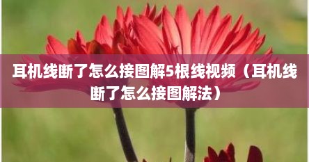 耳机线断了怎么接图解5根线视频（耳机线断了怎么接图解法）