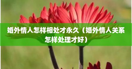 婚外情人怎样相处才永久（婚外情人关系怎样处理才好）