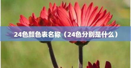 24色颜色表名称（24色分别是什么）