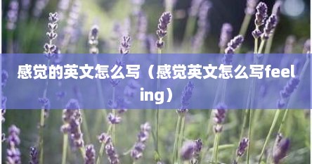 感觉的英文怎么念（感觉的英文怎么写?）