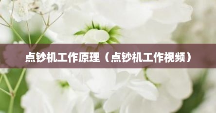 点钞机工作原理（点钞机工作视频）