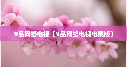 9品网络电视（9品网络电视电视版）