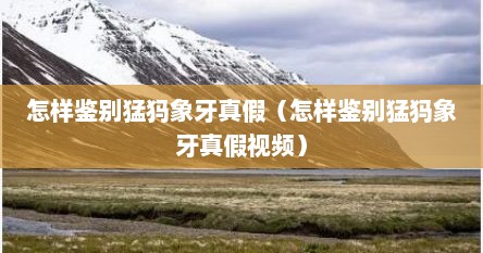 怎样鉴别猛犸象牙真假（怎样鉴别猛犸象牙真假视频）