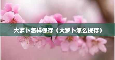 大萝卜怎样保存（大罗卜怎么保存）