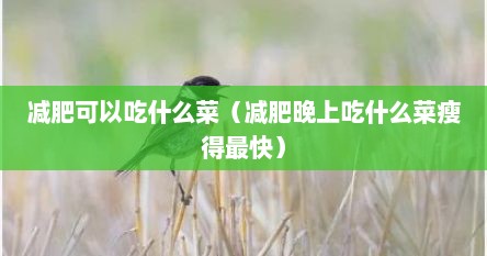 减肥可以吃什么菜（减肥晚上吃什么菜瘦得最快）