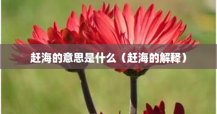 赶海的意思是什么（赶海的解释）