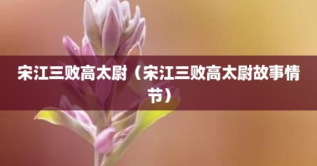 宋江三败高太尉（宋江三败高太尉故事情节）