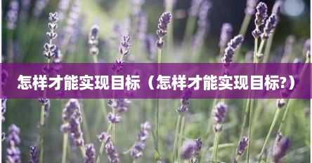 怎样才能实现目标（怎样才能实现目标?）