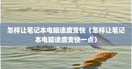 怎样让笔记本电脑速度变快（怎样让笔记本电脑速度变快一点）