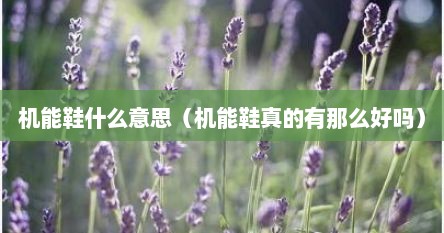 机能鞋什么意思(机能鞋真的有那么好吗)