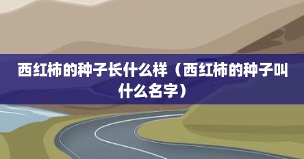 西红柿的种子长什么样（西红柿的种子叫什么名字）
