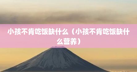 小孩不肯吃饭缺什么（小孩不肯吃饭缺什么营养）