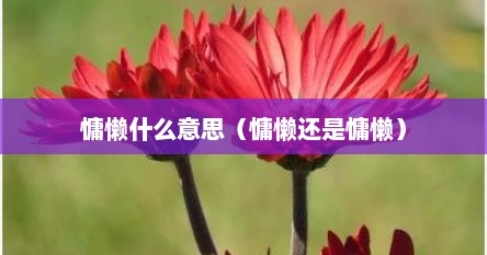 慵懒什么意思(慵懒还是慵懒)