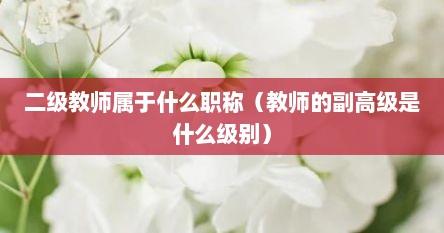 二级教师属于哪个级别（二级教师属于什么等级）